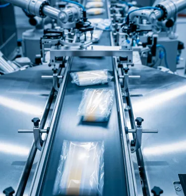 Processing & Manufacturing