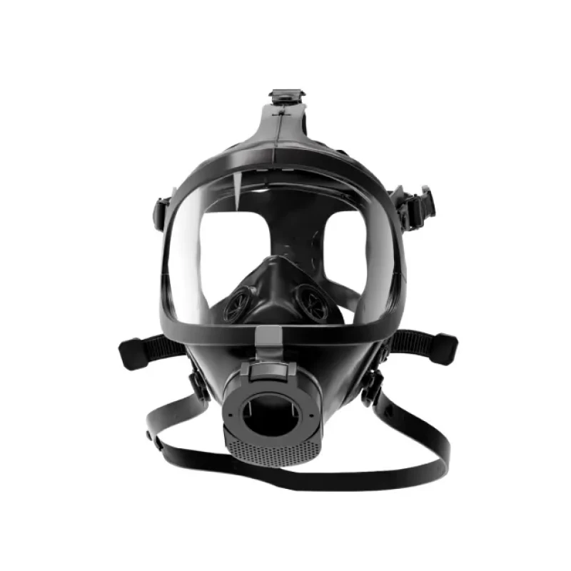Full Face Mask Protect 2000P