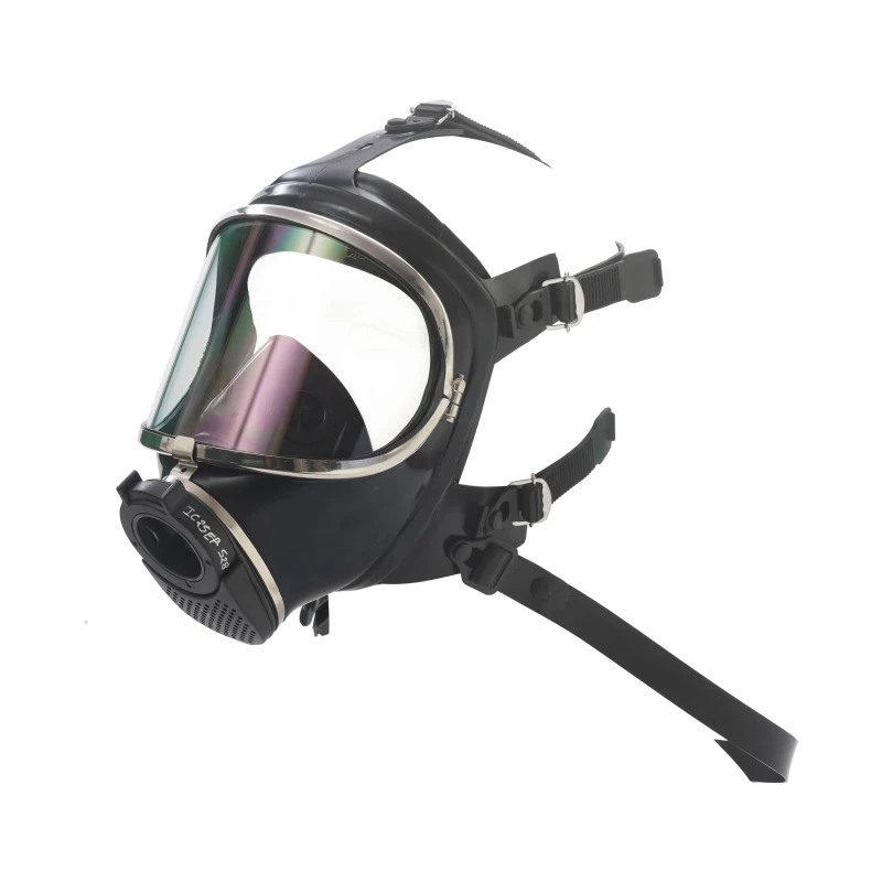 Full Face Mask Protect 2000P