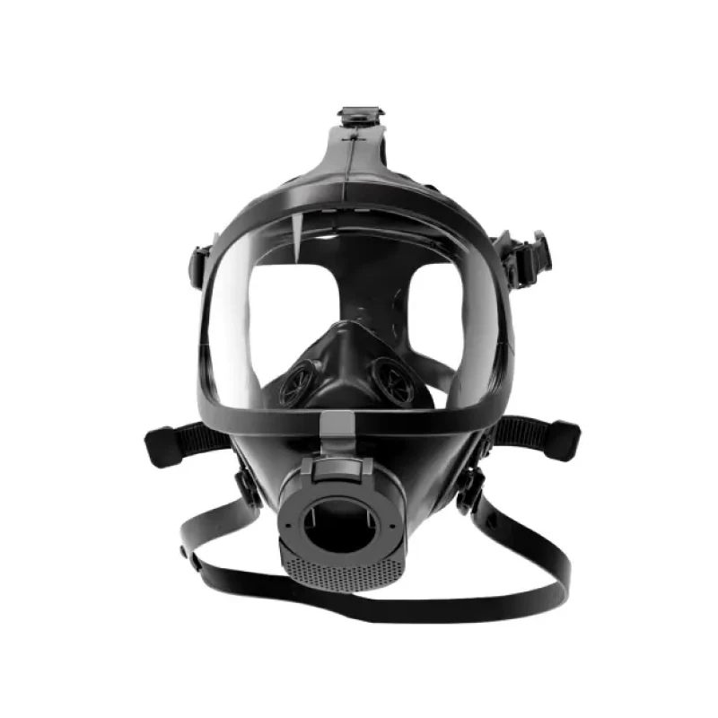 Full Face Mask Protect 2000P